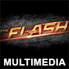 The Flash Multimedia
